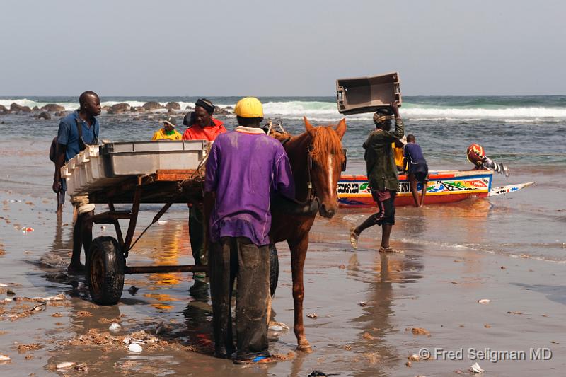 20090529_103339 D3 P2 P2.jpg - Yoff Fishing Village, Senegal